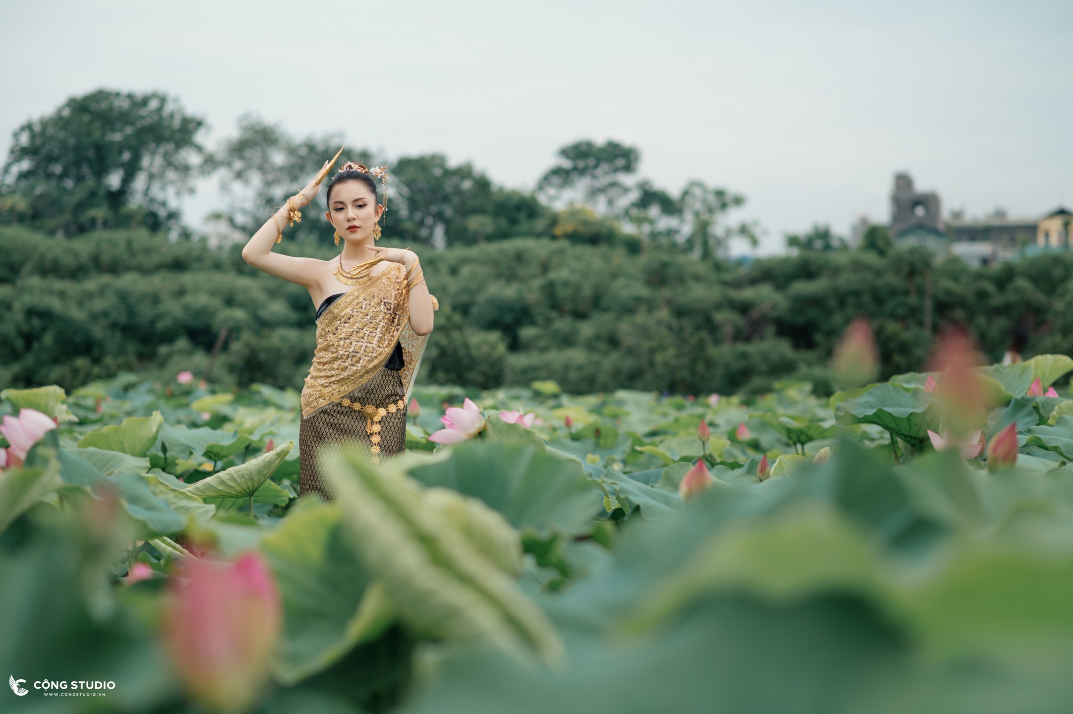 Chụp ảnh sen hồ tây concept thái lan đẹp, chuyên nghiệp, giá rẻ (23)