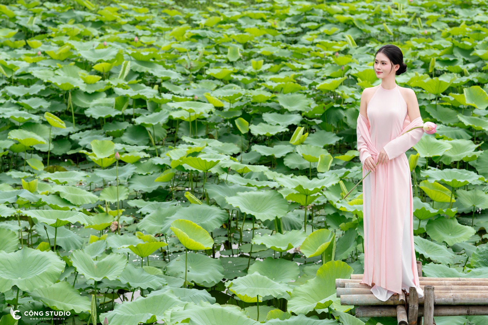 Yếm Hồng Chụp Sen Tại Cộng Studio