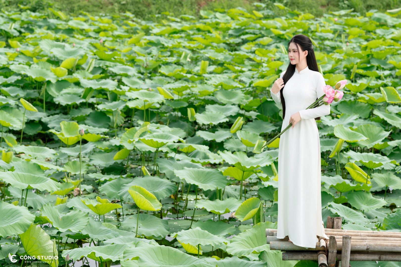 chụp sen tinh khôi cùng Cộng Studio (5)