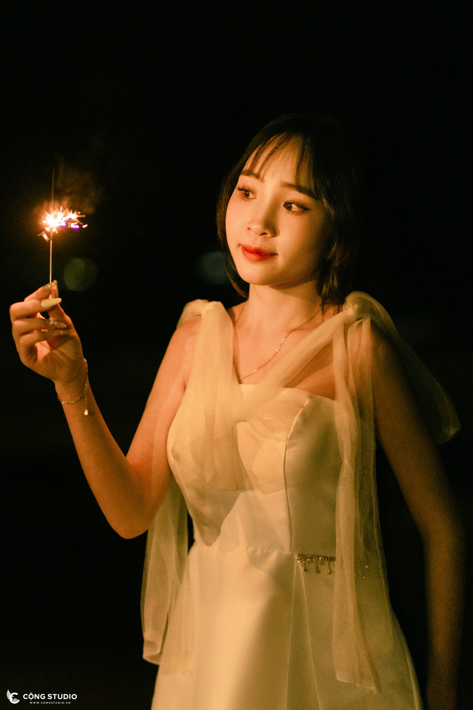 Chụp ảnh Kỷ yếu với pháo hoa 