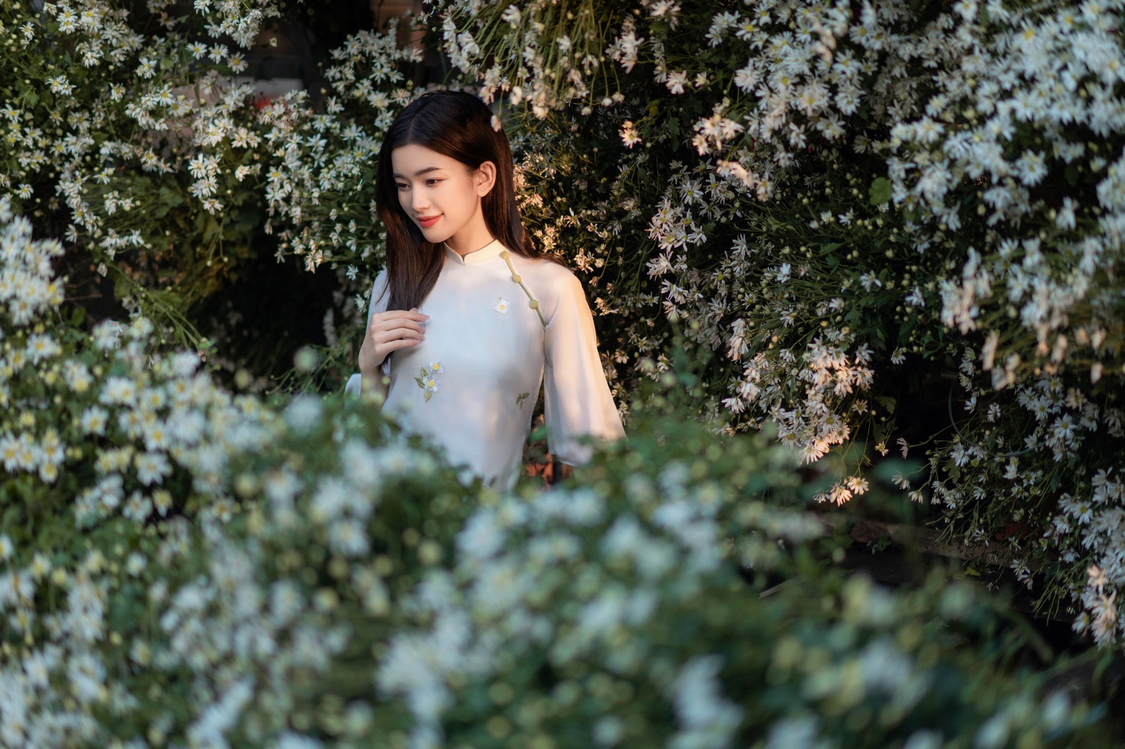 Bí Kíp Check-in Mùa Hoa Cúc Họa Mi Đẹp Nhất Tại Hà Nội (4)