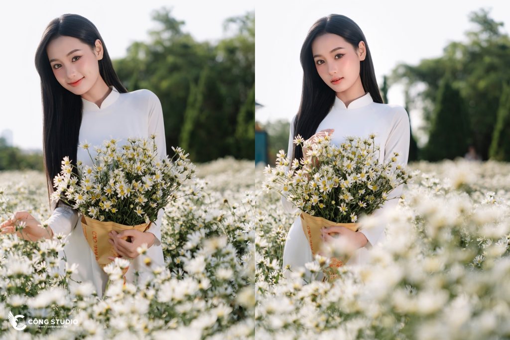 Bí Quyết Chụp Ảnh Cúc Họa Mi Hà Nội Đẹp Nhất Mùa Thu