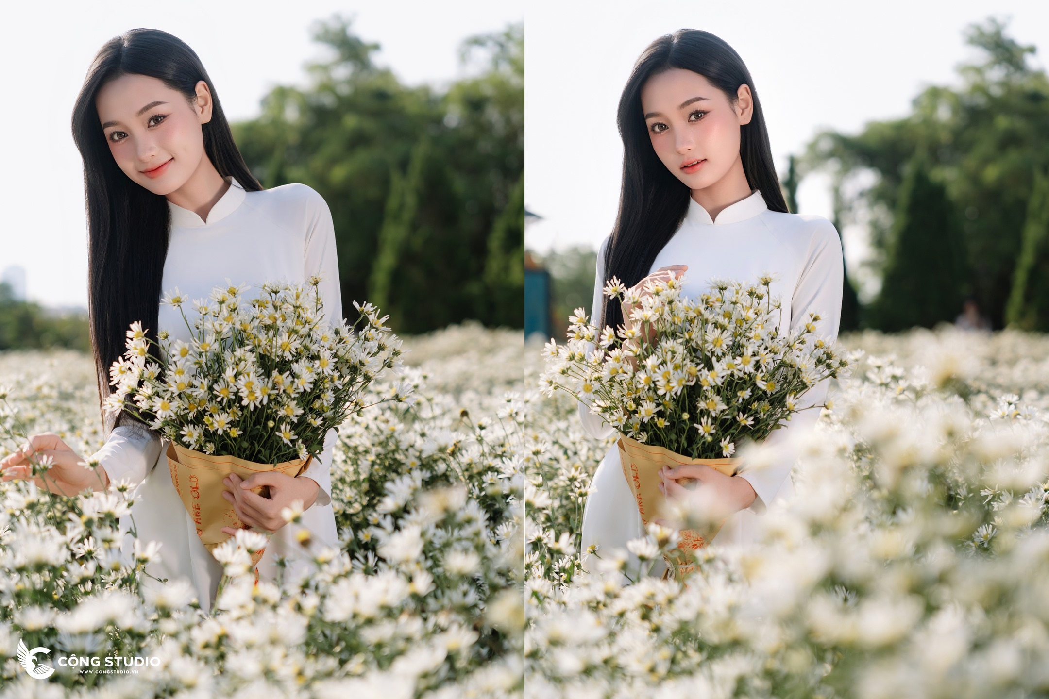 Chụp Ảnh Cúc Họa Mi Hà Nội