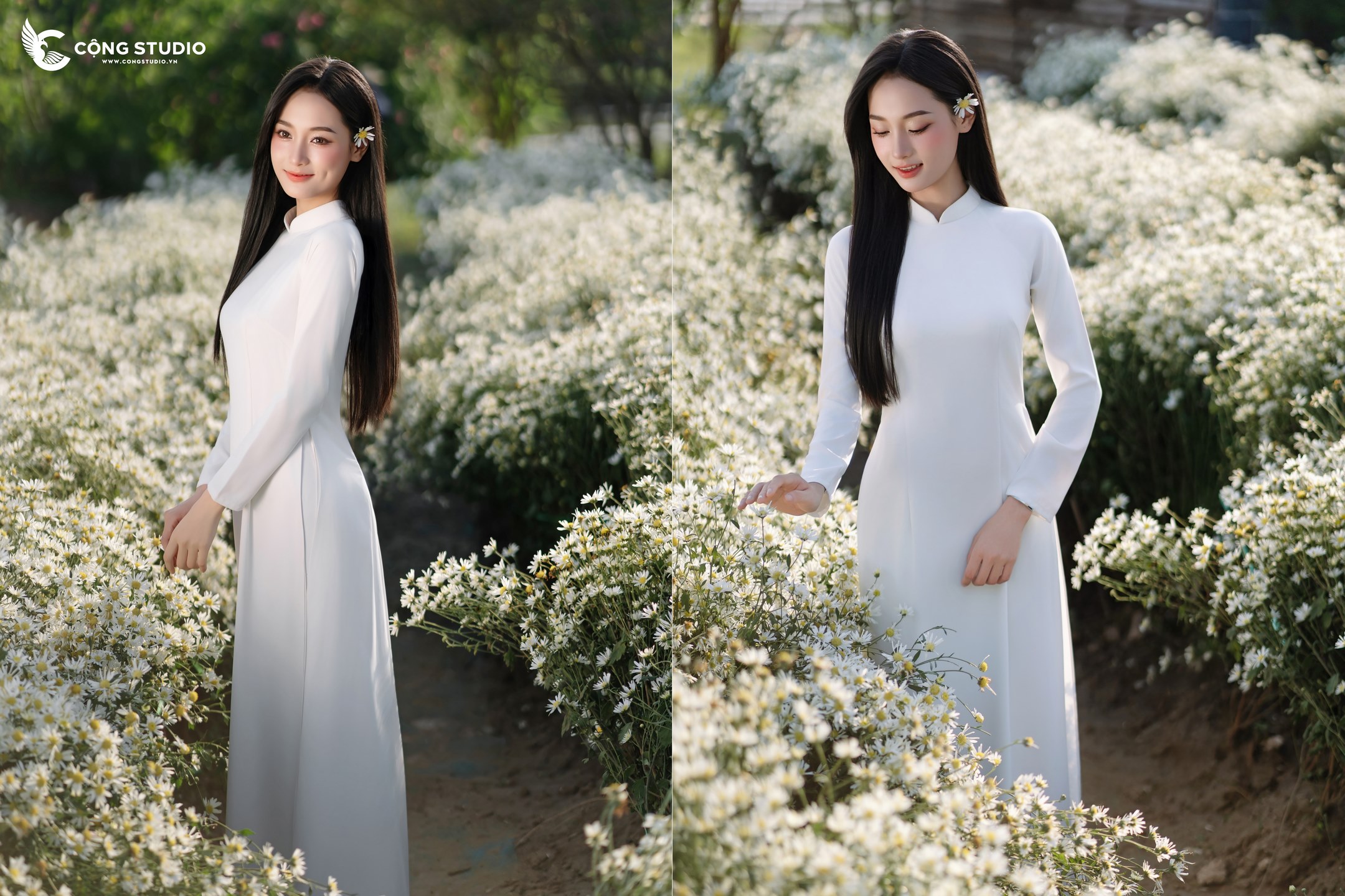 Chụp Ảnh Cúc Họa Mi Hà Nội