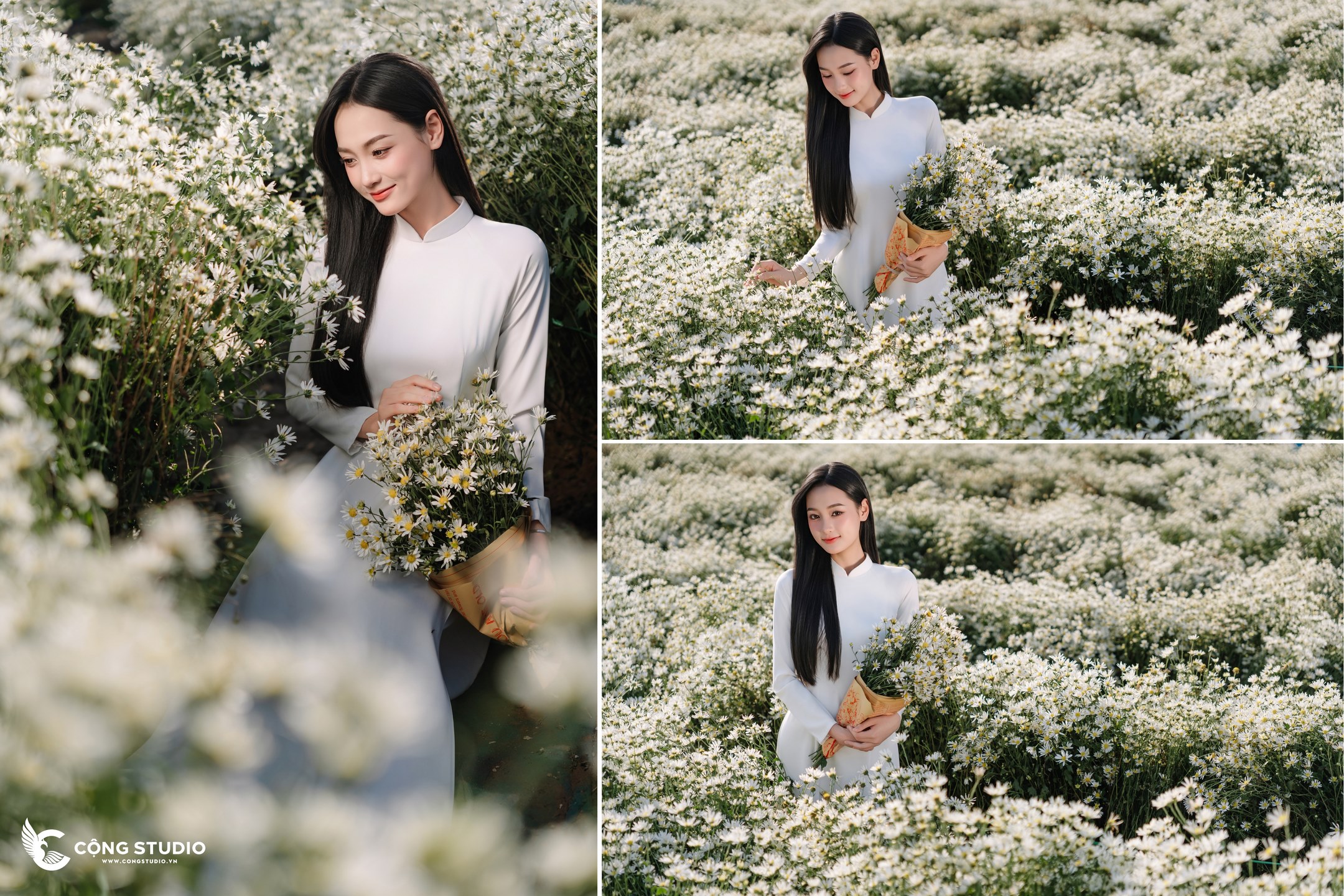 Chụp Ảnh Cúc Họa Mi Hà Nội