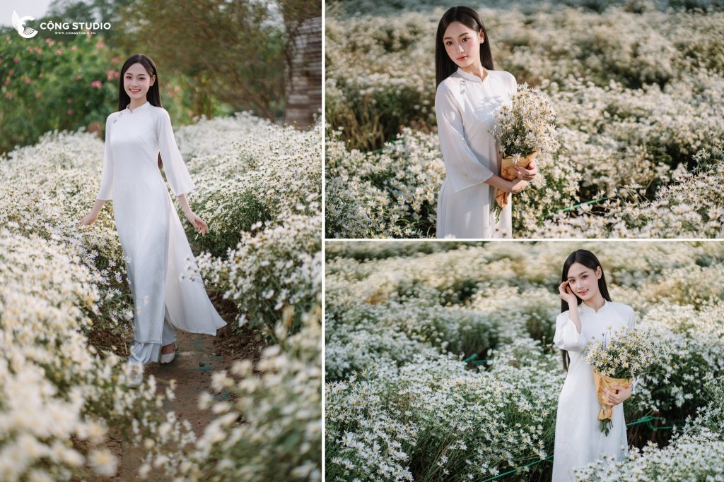 Kinh Nghiệm Chụp Ảnh Cúc Họa Mi Cho Bức Hình Đẹp Nhất