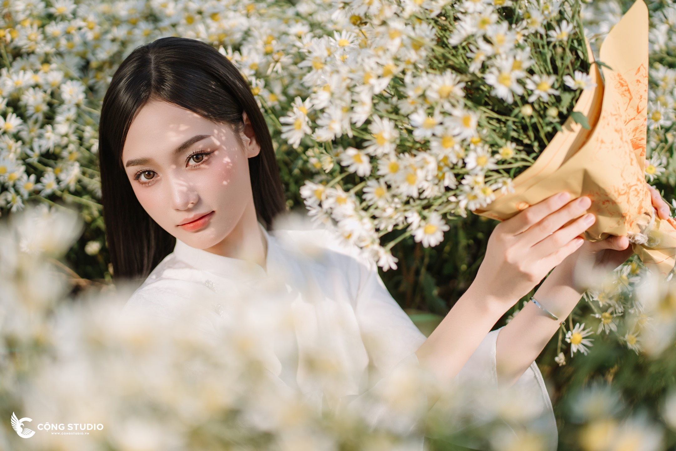 Chụp Ảnh Cúc Họa Mi Hà Nội