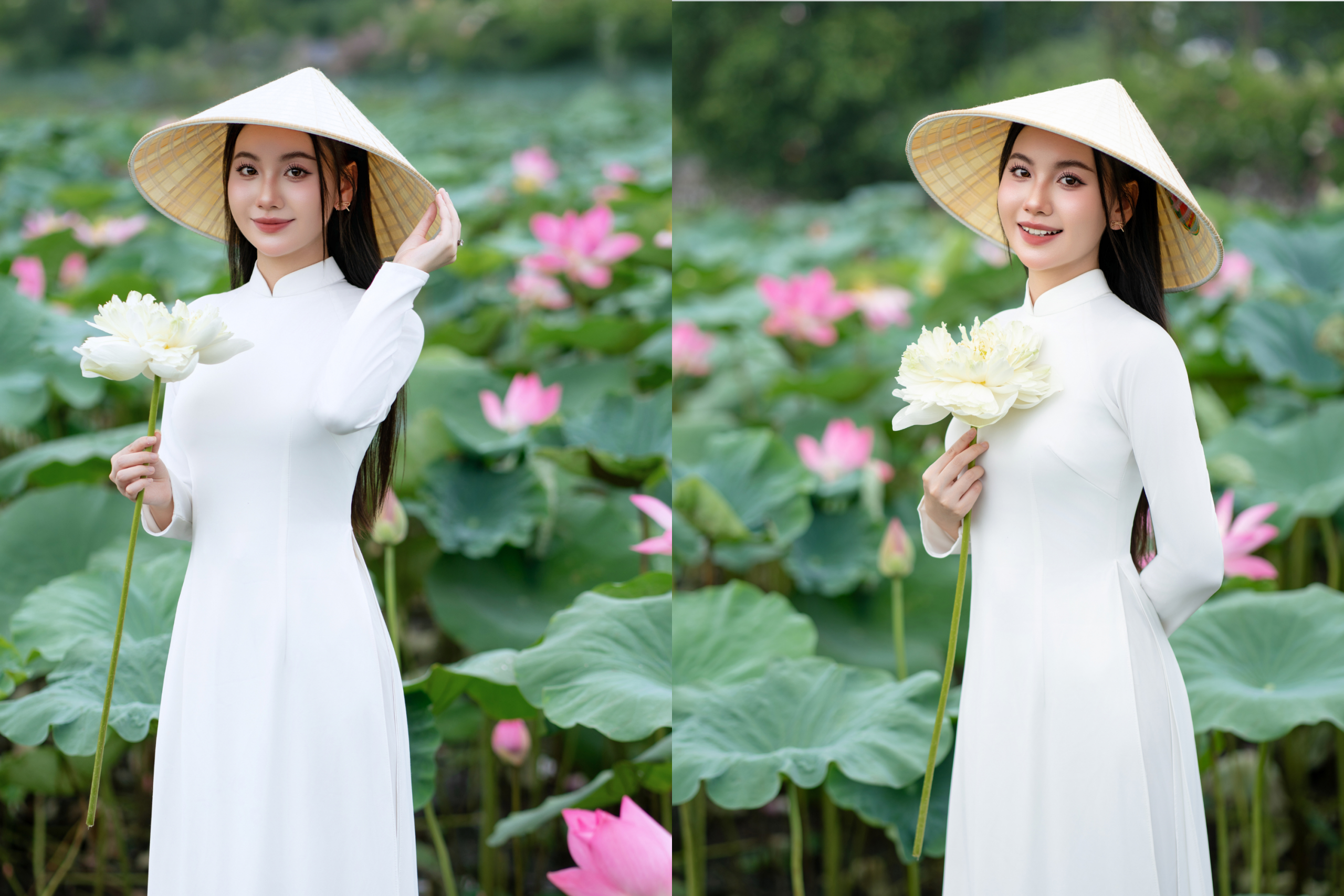 Chụp ảnh sen Hồ Tây 2026