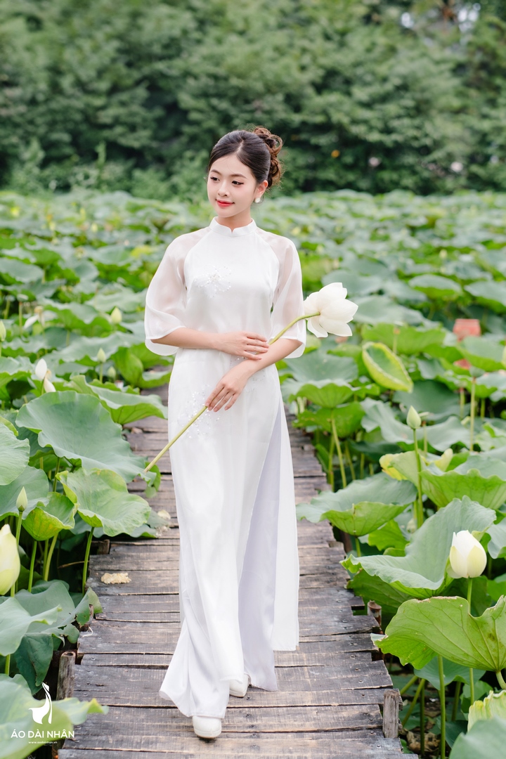 Bộ Sưu Tập Hương Liên (11)