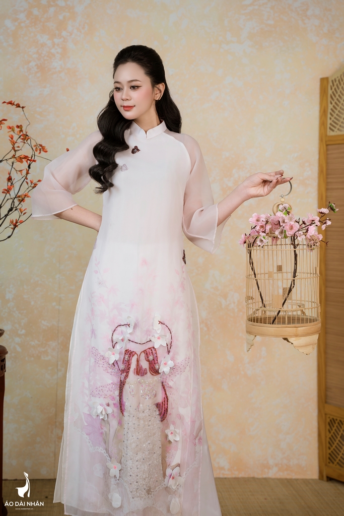 Bộ Sưu Tập Lan Chi