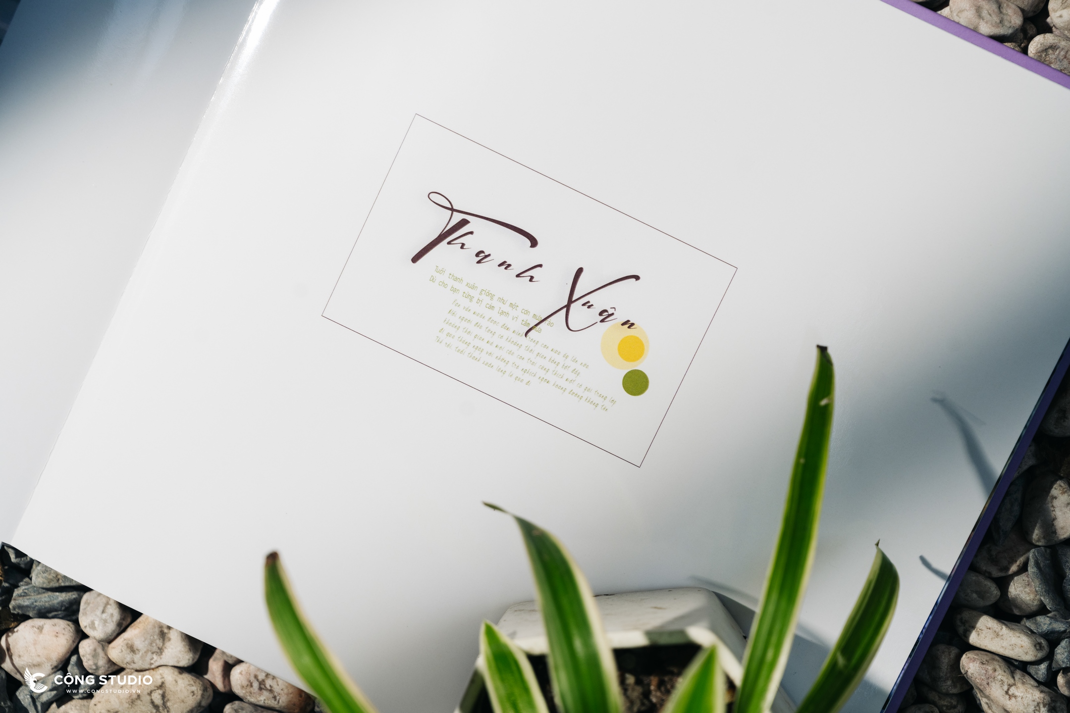 Thiết Kế Mẫu Photobook Kỷ Yếu Đẹp Và Sáng Tạo Được Yêu Thích Nhất! (2)