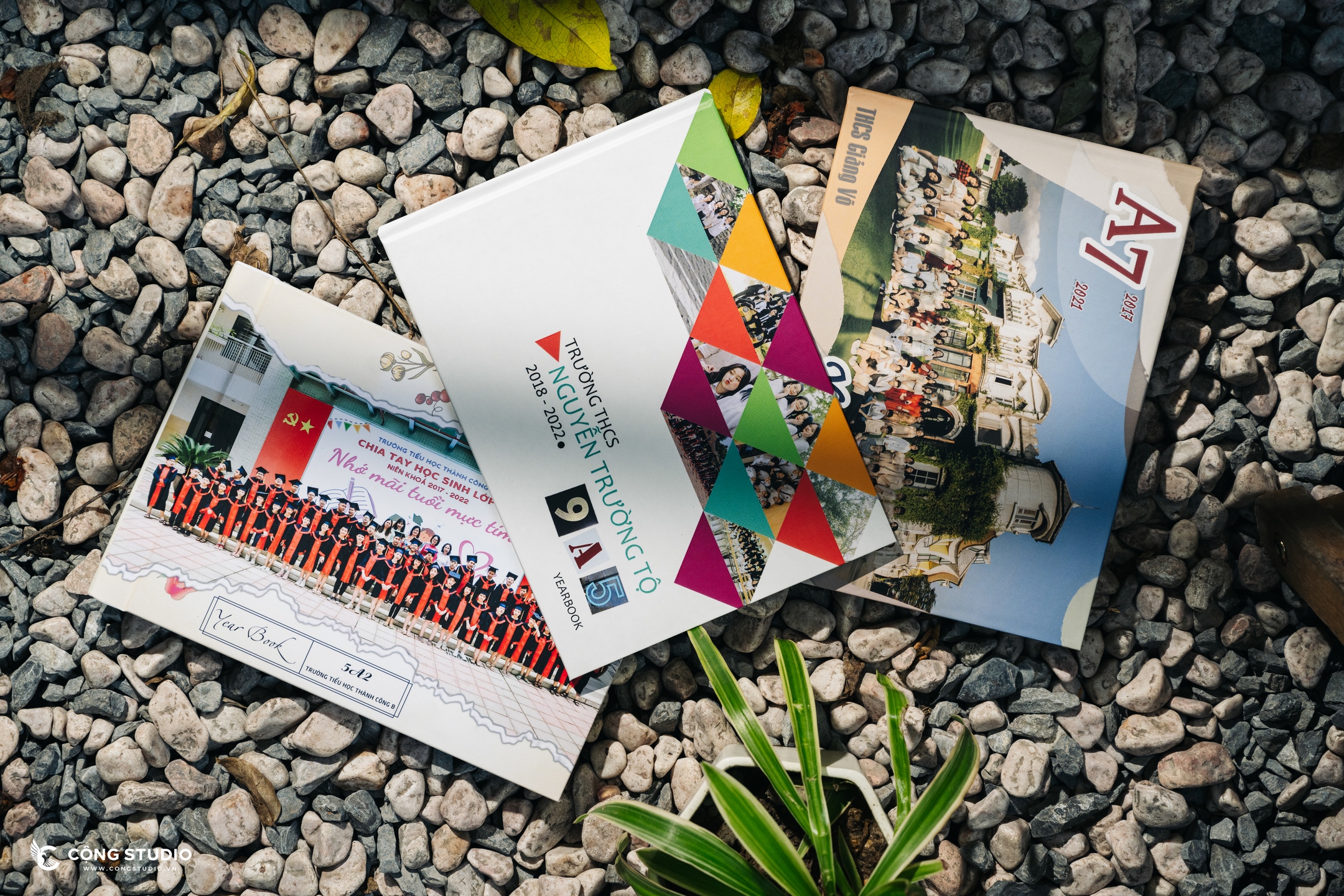 Thiết Kế Mẫu Photobook Kỷ Yếu Đẹp Và Sáng Tạo Được Yêu Thích Nhất!